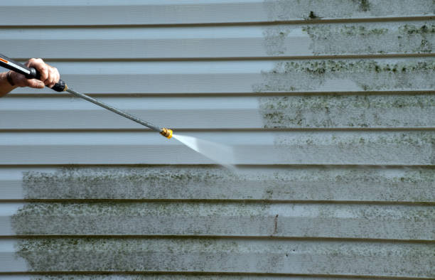 Best Gutter Cleaning  in Leesburg, GA